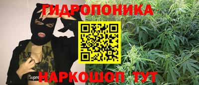 прущие грибы Кумертау